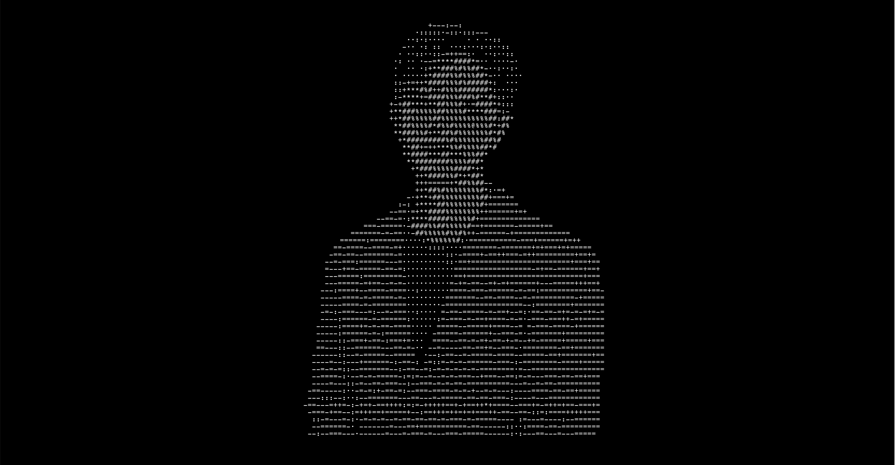 포트폴리오