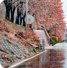 unsplash
